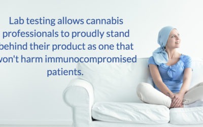 A NURSES PERSPECTIVE: Cannabis and The Immunocompromised Patient