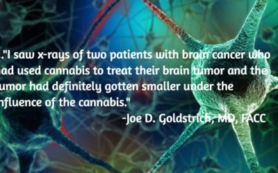 The Latest Research: Cannabis and Cancer