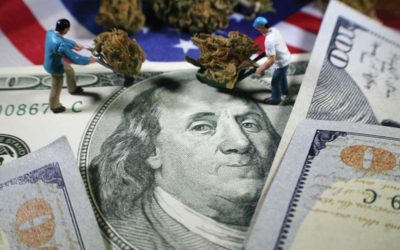 What’s the Deal With Cannabis Banking?