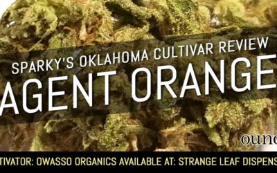 Agent Orange – Sparky’s Oklahoma Cultivar Review (SEE PHOTOS)