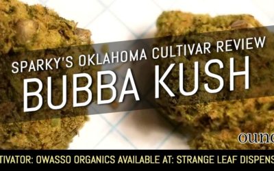 Bubba Kush – Sparky’s Oklahoma Cultivar Review (SEE PHOTOS)