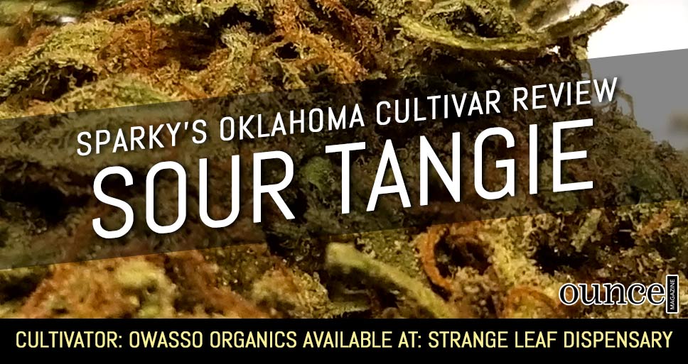 Sour Tangie – Sparky’s Oklahoma Cultivar Review (SEE PHOTOS)