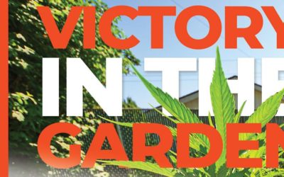 Home Grown Cannabis: Victory in the Garden